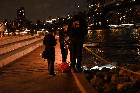 Bone Fragments Recovered At Brooklyn Bridge Park In Brooklyn New York