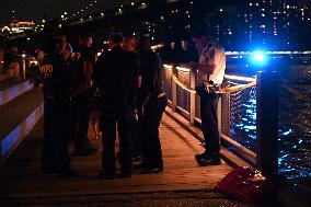 Bone Fragments Recovered At Brooklyn Bridge Park In Brooklyn New York