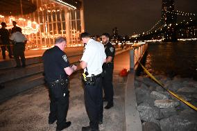 Bone Fragments Recovered At Brooklyn Bridge Park In Brooklyn New York