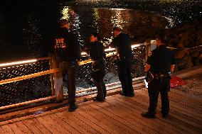 Bone Fragments Recovered At Brooklyn Bridge Park In Brooklyn New York