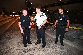 Bone Fragments Recovered At Brooklyn Bridge Park In Brooklyn New York