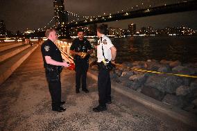 Bone Fragments Recovered At Brooklyn Bridge Park In Brooklyn New York