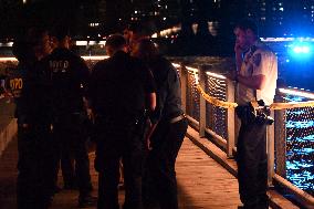 Bone Fragments Recovered At Brooklyn Bridge Park In Brooklyn New York