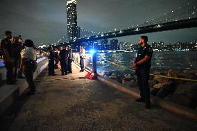 Bone Fragments Recovered At Brooklyn Bridge Park In Brooklyn New York