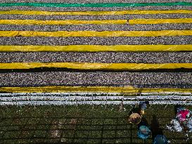 Dried Fish Processing In Bangladesh