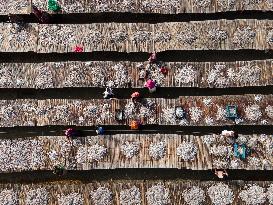 Dried Fish Processing In Bangladesh