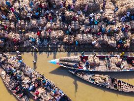 Jute Market In Bangladesh