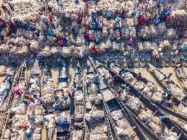 Jute Market In Bangladesh