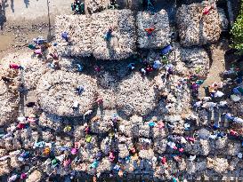 Jute Market In Bangladesh