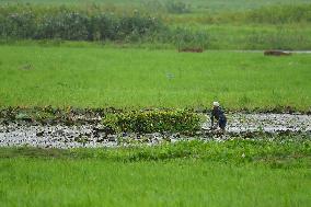 Daily Life In India