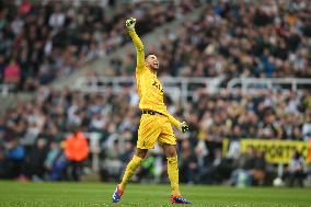 Newcastle United FC v Tottenham Hotspur FC - Premier League