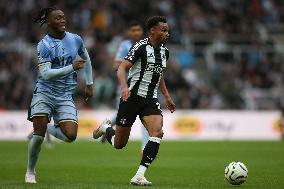 Newcastle United FC v Tottenham Hotspur FC - Premier League