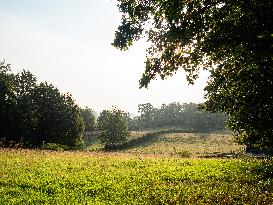 Tropical Temperatures During The Weekend In The Netherlands.