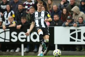 Newcastle United FC v Tottenham Hotspur FC - Premier League