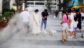 High Temperature Hit Shanghai