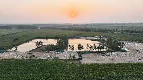 An Ecological Goose Breeding Base in Suqian