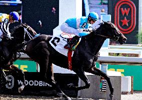 Thoroughbred Horse Racing At Woodbine Racetrack - September 1, 2024