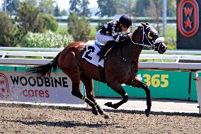 Thoroughbred Horse Racing At Woodbine Racetrack - September 1, 2024