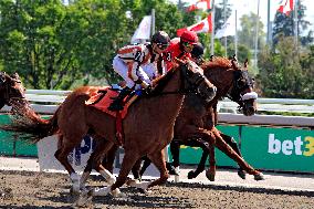 Thoroughbred Horse Racing At Woodbine Racetrack - September 1, 2024