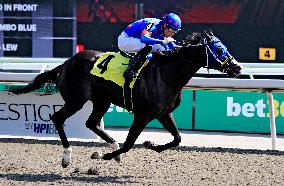 Thoroughbred Horse Racing At Woodbine Racetrack - September 1, 2024