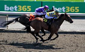 Thoroughbred Horse Racing At Woodbine Racetrack - September 1, 2024