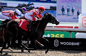 Thoroughbred Horse Racing At Woodbine Racetrack - September 1, 2024