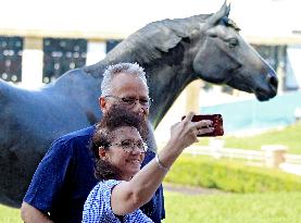 Thoroughbred Horse Racing At Woodbine Racetrack - September 1, 2024