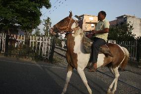 Daily Life In Bazpur