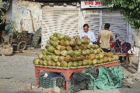 Daily Life In Bazpur