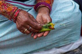 Hindu Devotees Offering Ritual On Father's Day In Bhaktapur, Nepal.