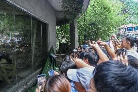 Celebrity Monkey at Qianlingshan Park Zoo in Guiyang