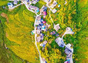 Layered Rice Terraces