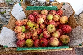 Making apple jam