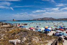 Travel Destination: Sardinia