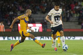 Liga MX: Pumas UNAM V Tigres UANL