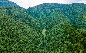 Drone View Of The Lush Greenery Hill In Nepal.