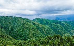 Drone View Of The Lush Greenery Hill In Nepal.