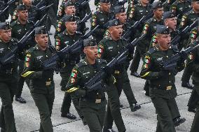 Military Parade In Mexico