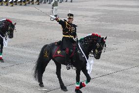 Military Parade In Mexico