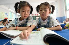 Twins in Elementary School in Handan