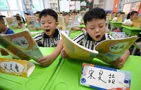 Twins in Elementary School in Handan