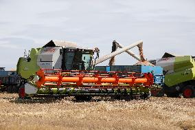 Wheat Harvest - Kazakhstan