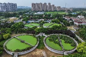 Jiangxinzhou Sewage Treatment Plant in Nanjing