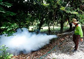 A Worker Fumigates To Prevent The Spread Of Dengue Fever