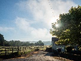 Rural Ireland