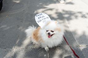 Demonstration In Support Of Paul Watson - Paris