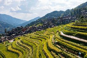 Terraced Fields - China