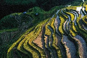 Terraced Fields - China