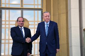 Erdogan And al-Sisi Meet - Ankara