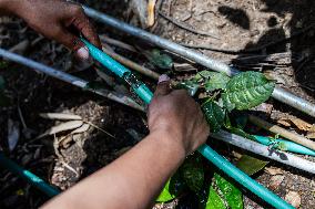 Indonesian Villagers Needed Clean Water During Drought Season